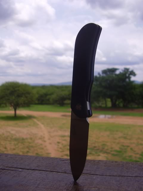 PA100016.jpg