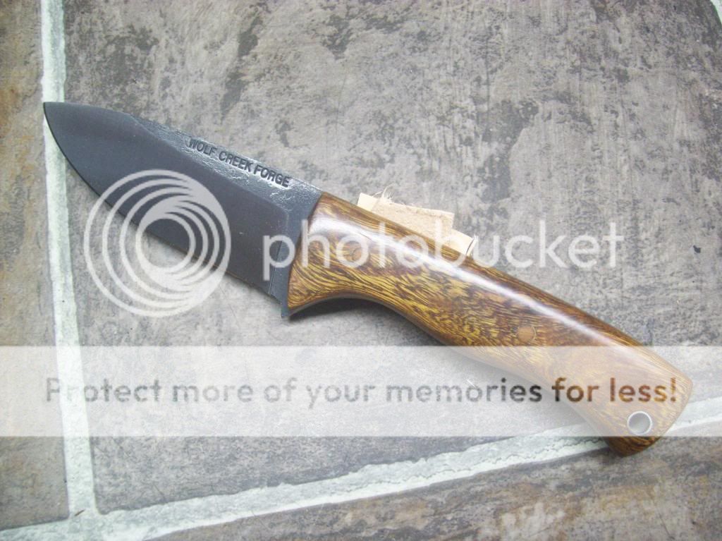 100_8904_zps64804c22.jpg