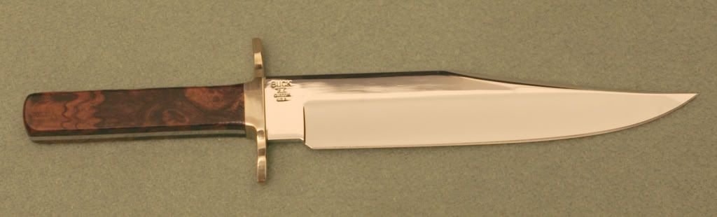 Buck916.jpg