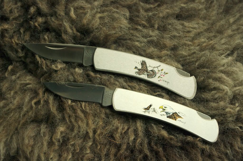 Buck526WiedehopfAdler.jpg