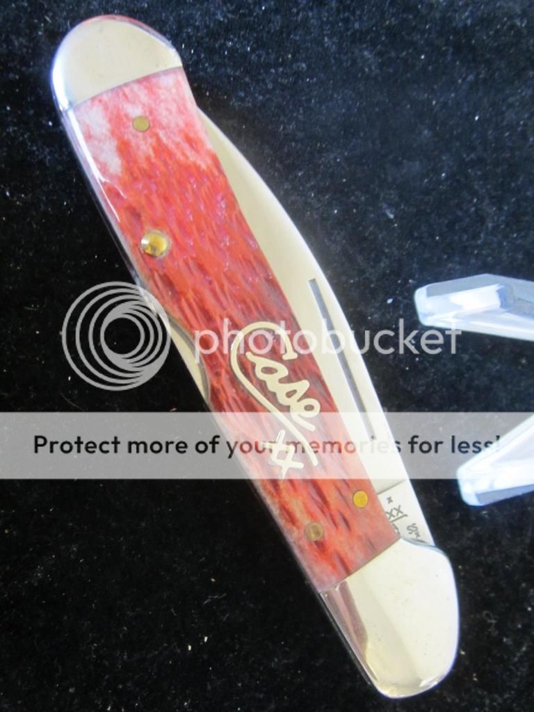 IMG_4312_zps14c4dff7.jpg