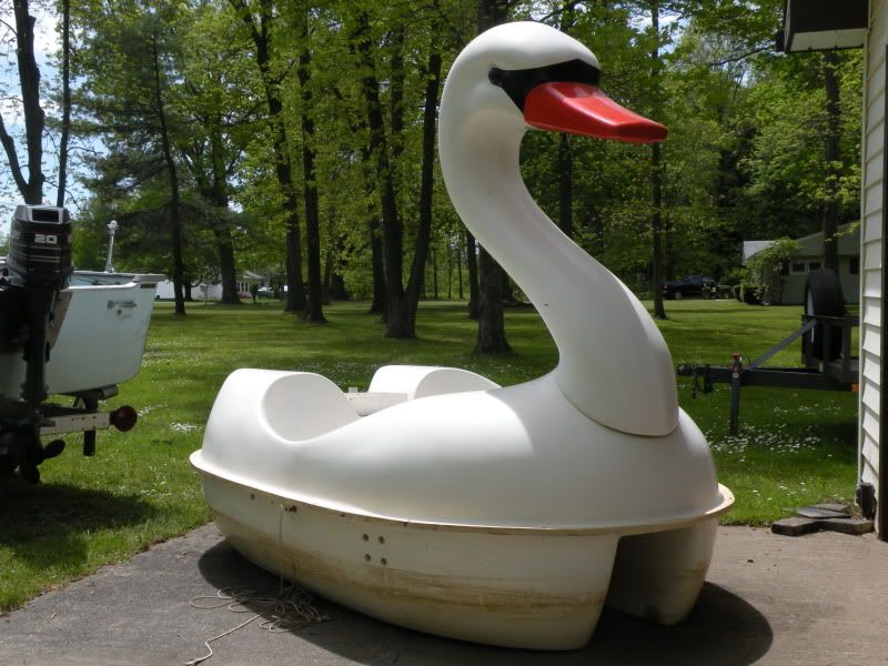 swan2.jpg