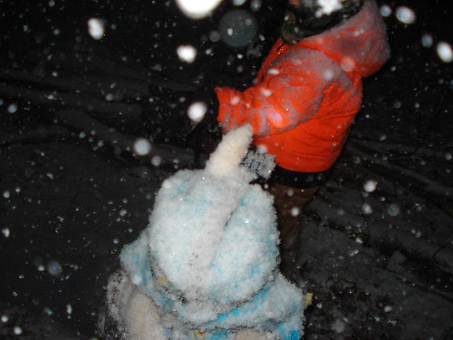 12012260076_58e6e71db5.jpg