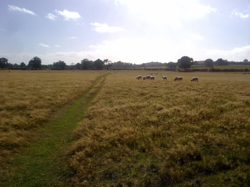 12092011171.jpg