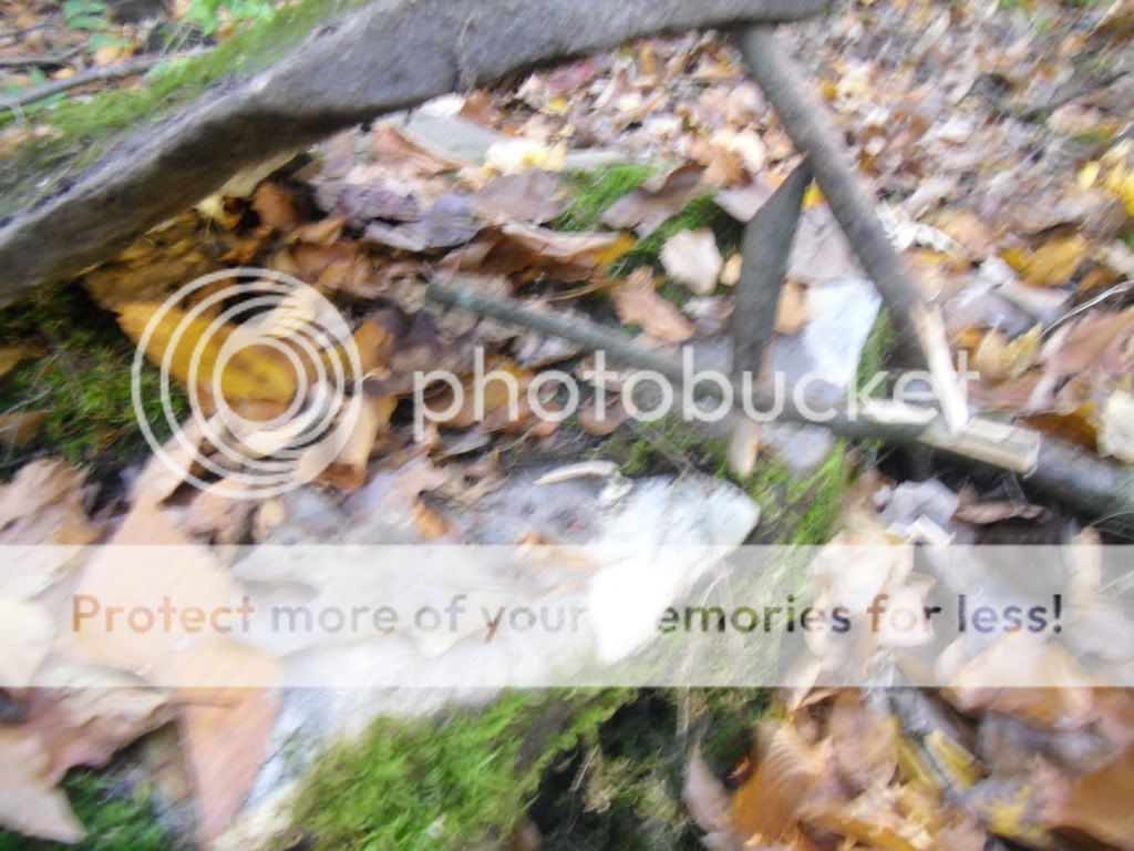 PICT0024-17.jpg