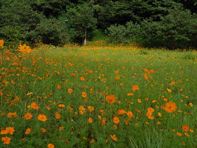 2009.08.24.r0019044.jpg