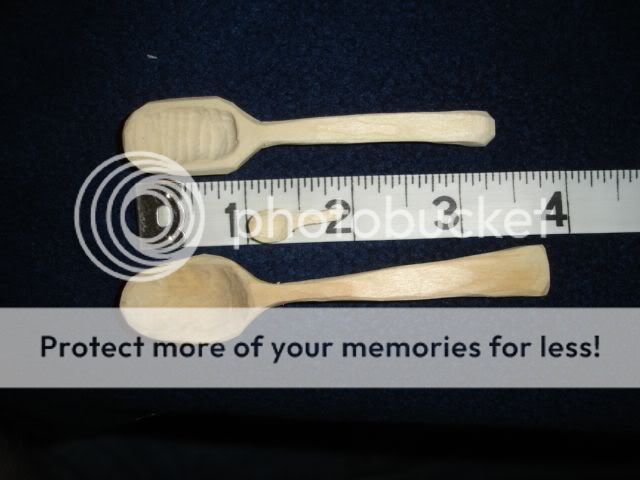 spoonies.jpg