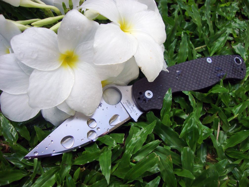 EDC6-30-13_zpse9ea6e61.jpg
