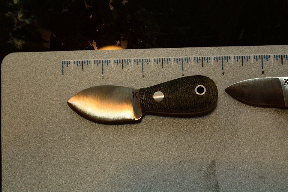 DSC_7972.JPG