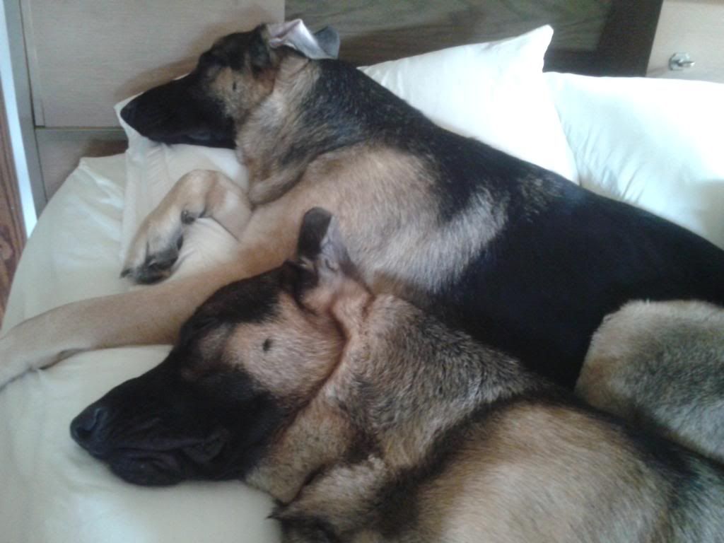 2012-04-29084444.jpg