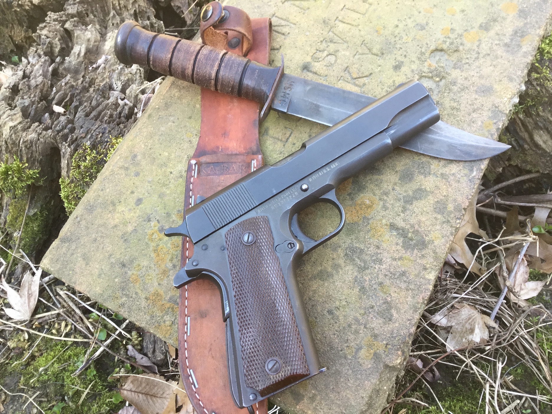 WrLg1TJ.jpg