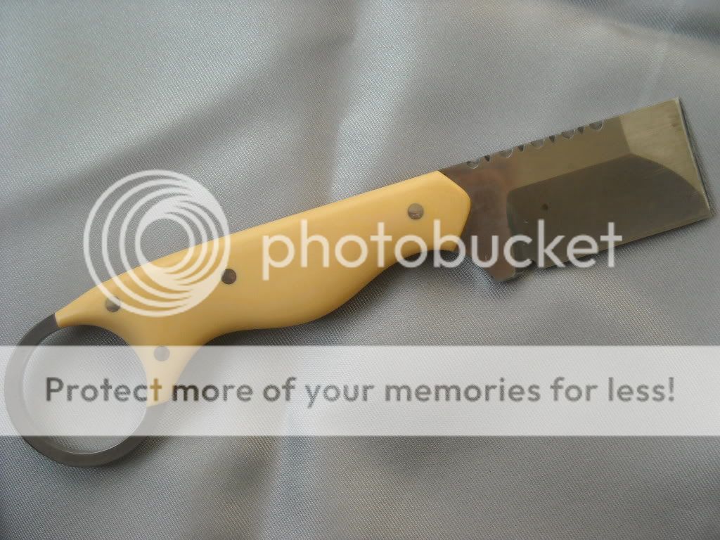 DSCN2978.jpg