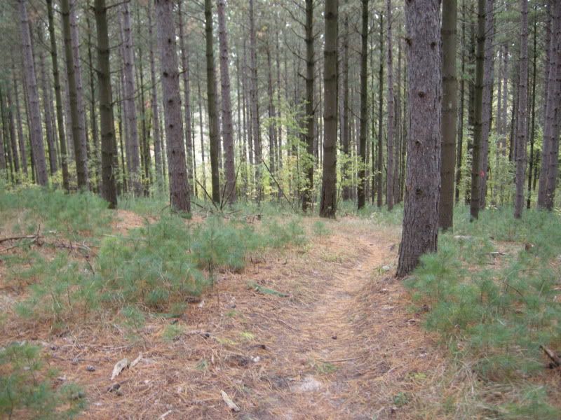 DSCN3746.jpg