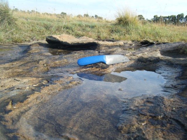 DSCF3008_zps8cb0b4f2.jpg