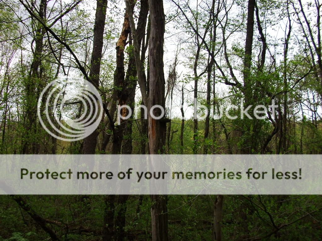 PICT0750.jpg
