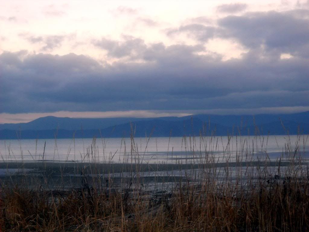 DSCN0267.jpg