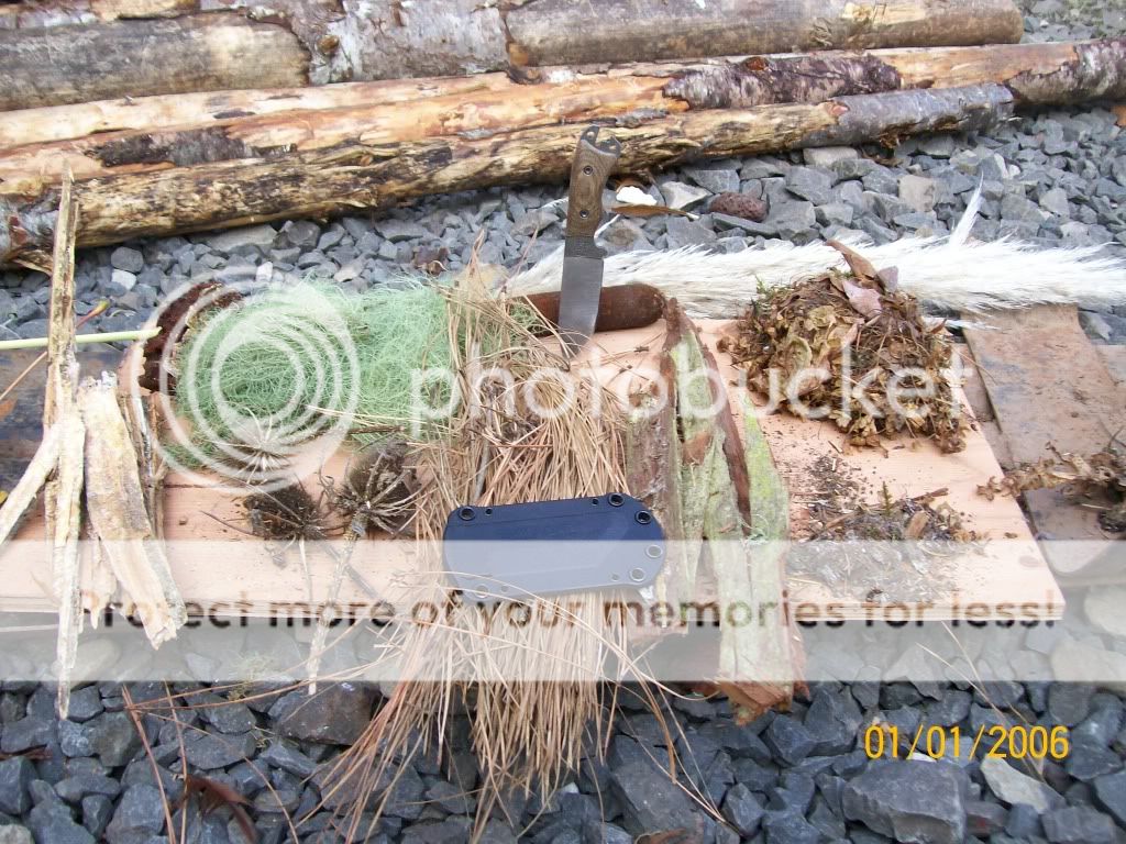 100_3734.jpg