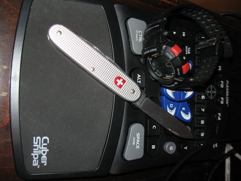 IMG_2466_resize.jpg