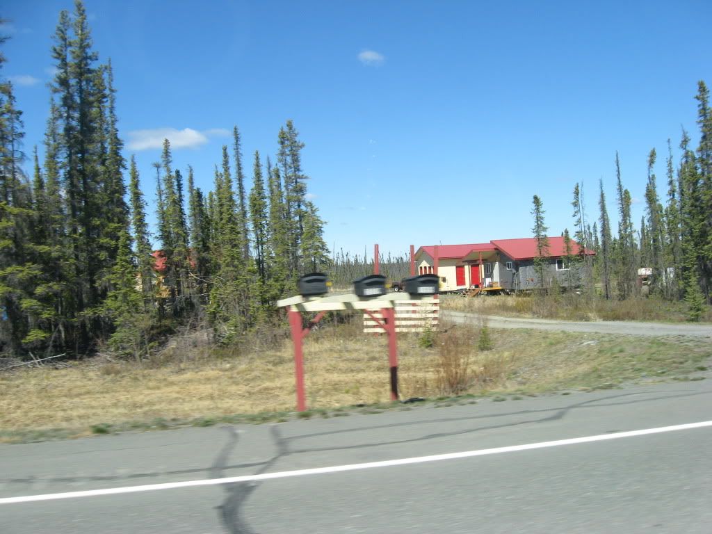 341.jpg