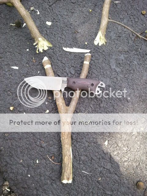2012-07-03134627.jpg