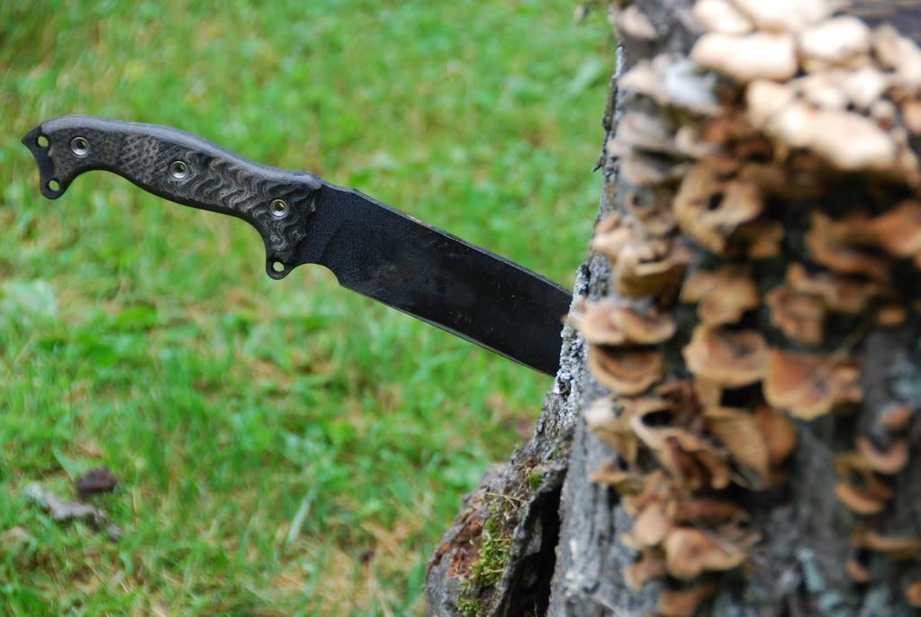 Busse010-1.jpg