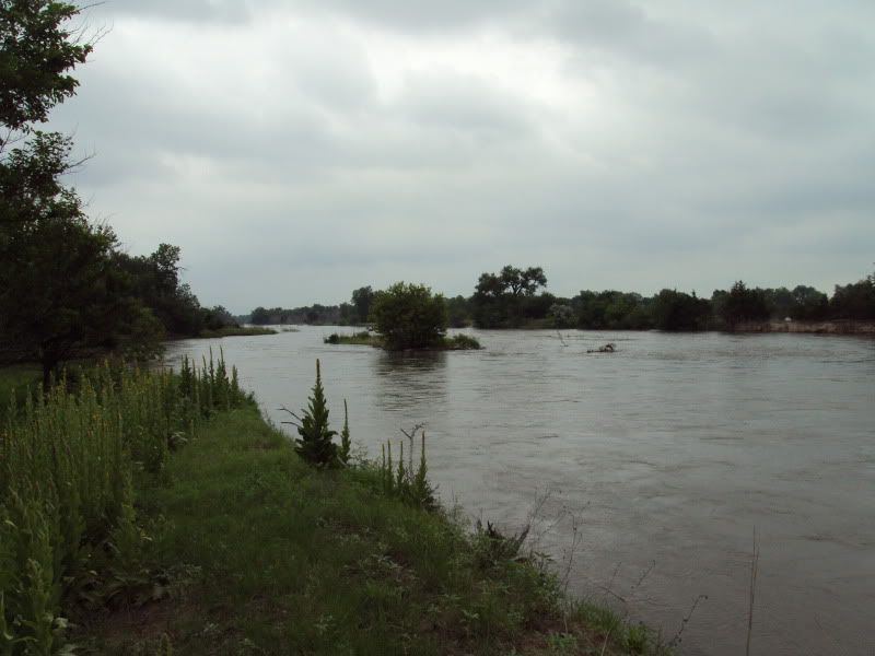 DSC00857.jpg