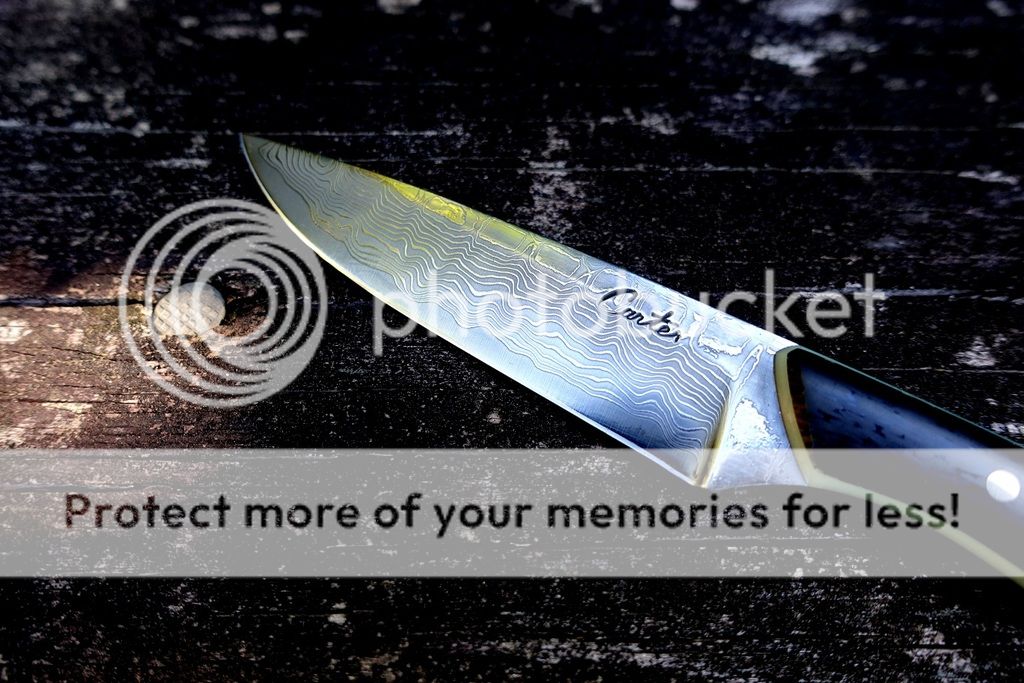 DSC01448_zps76bdurtx.jpg