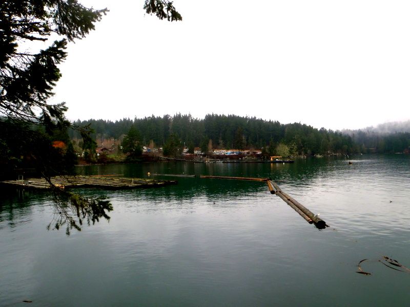 ChristmasBreakPics2012009_zps6356e368.jpg
