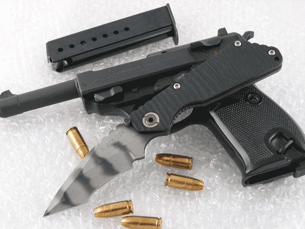 WaltherP38_MSC1_05.gif