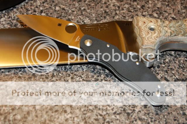 DSC_0087.jpg