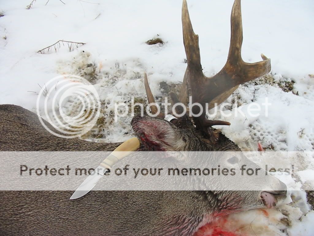 2010Buckknife.jpg