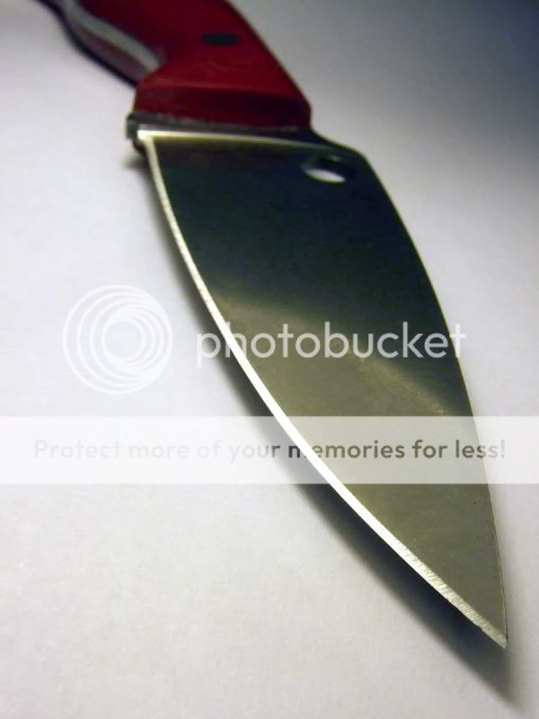 DSCF4736.jpg