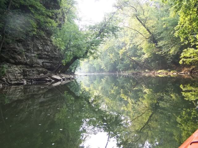 100_4597.jpg