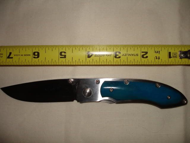 DSC01373.jpg