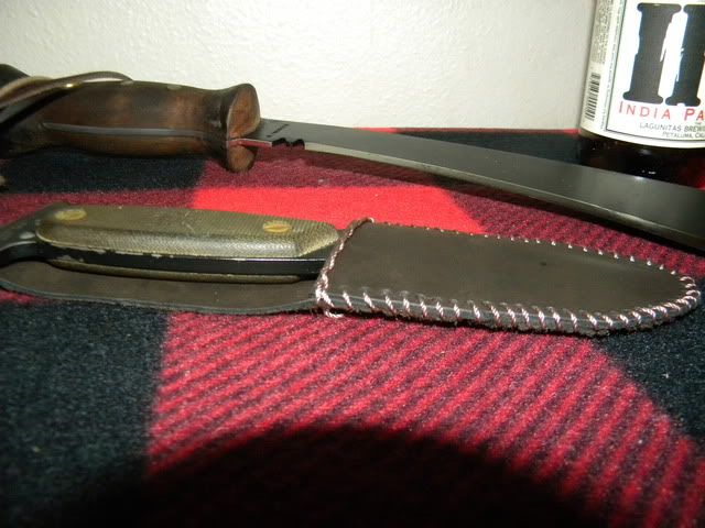 DSCN5379.jpg