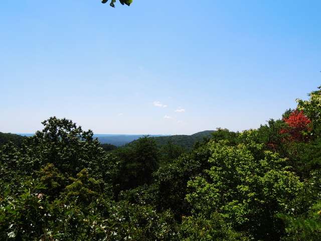 dscn1337ab.jpg