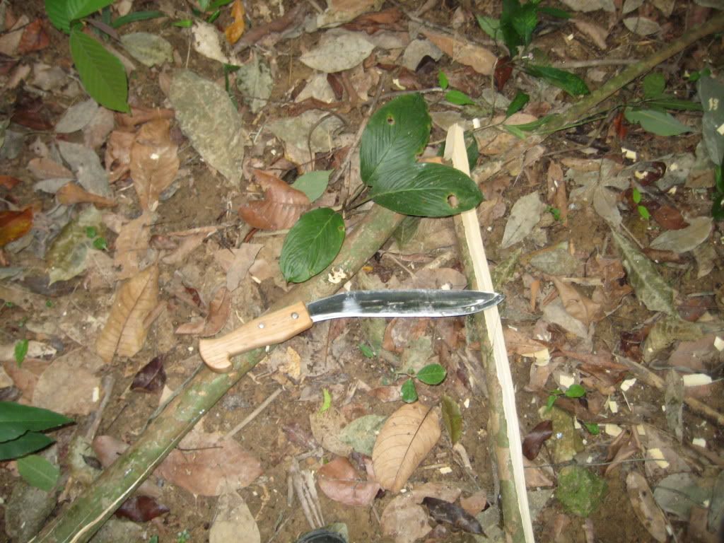 IMG_4994.jpg