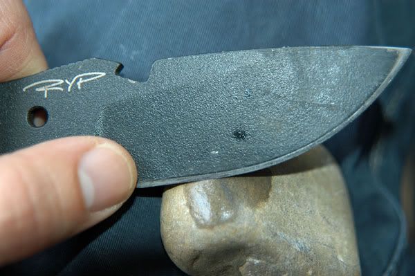 sharp.jpg