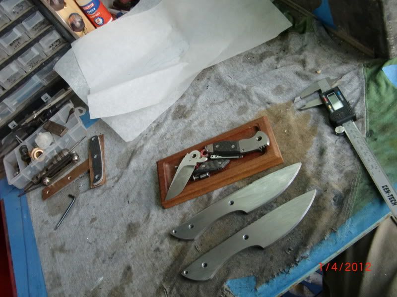 CIMG1667.jpg