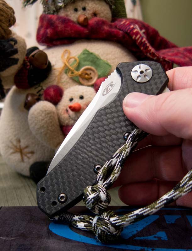 ZT_lanyard3.jpg~original