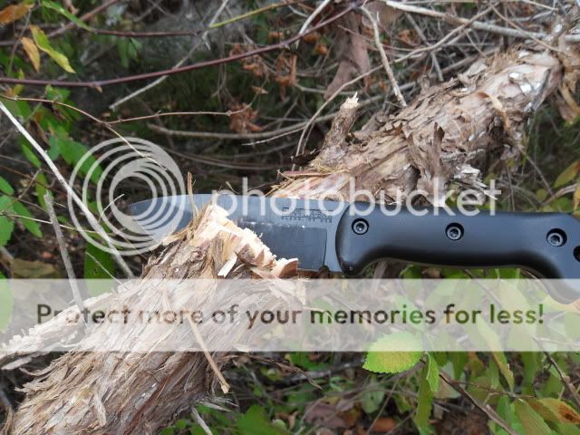 SDC10803.jpg