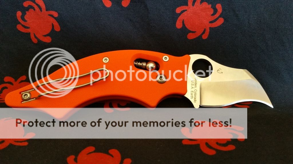 20150817_153058.jpg