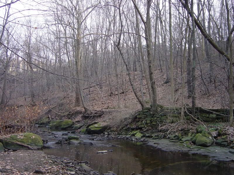 DSC01317.jpg