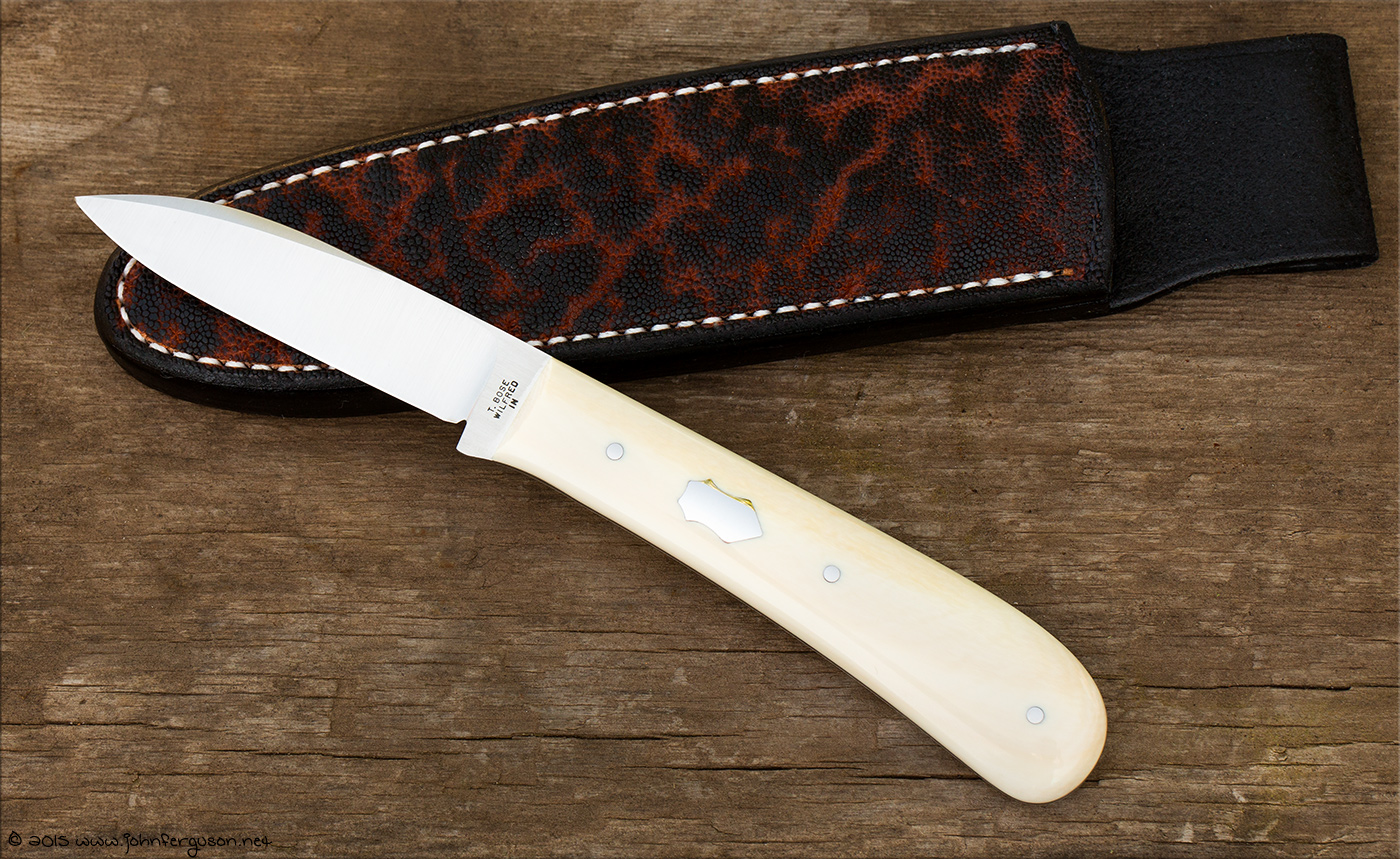 BoseNKCAprotowithsheath1.jpg