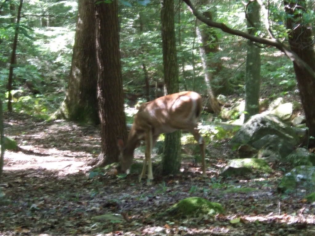 2010_09060109.jpg