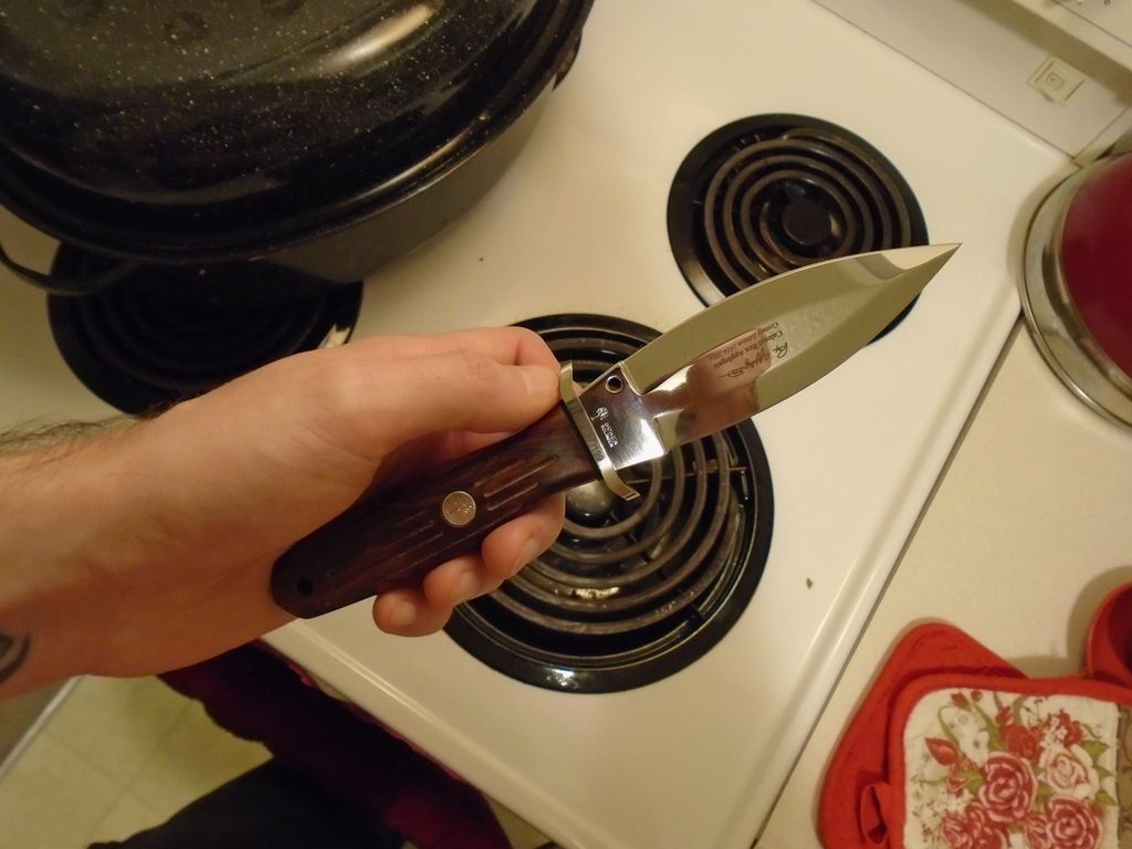 DSC00012_zpske0bbheq.jpg