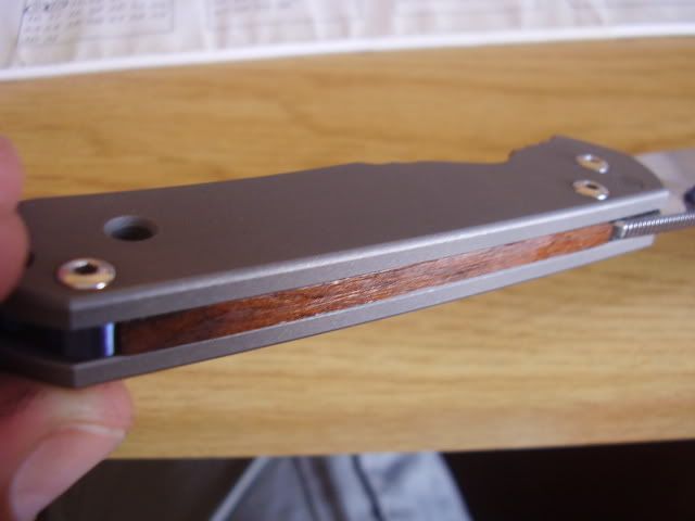 P3020139.jpg