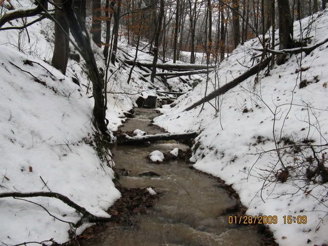 snowdayforthepets037.jpg