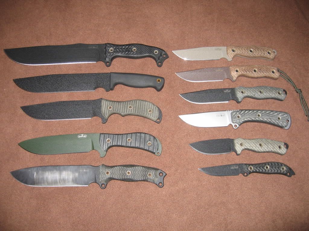BrownTrout2011.jpg