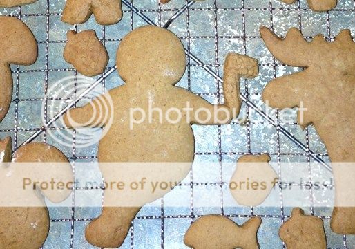 joshcookie_zps5699810a.jpg
